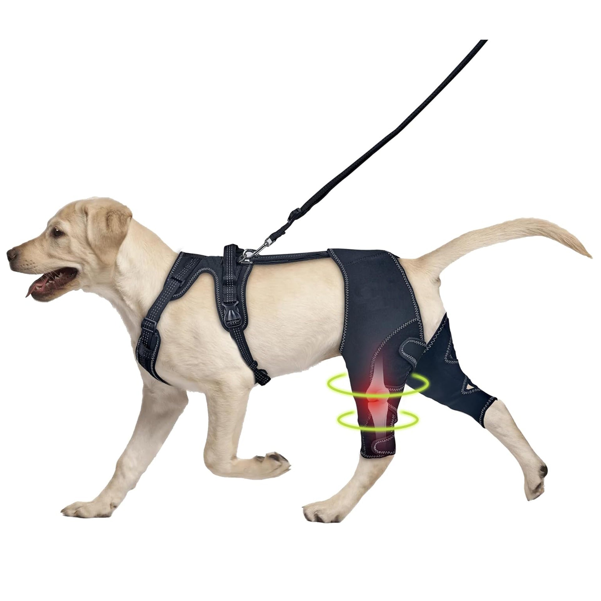 Pet Leg Support Dog Knee Brace Post-Surgery Rehabilitation Knee Support Joint Protection Bandage