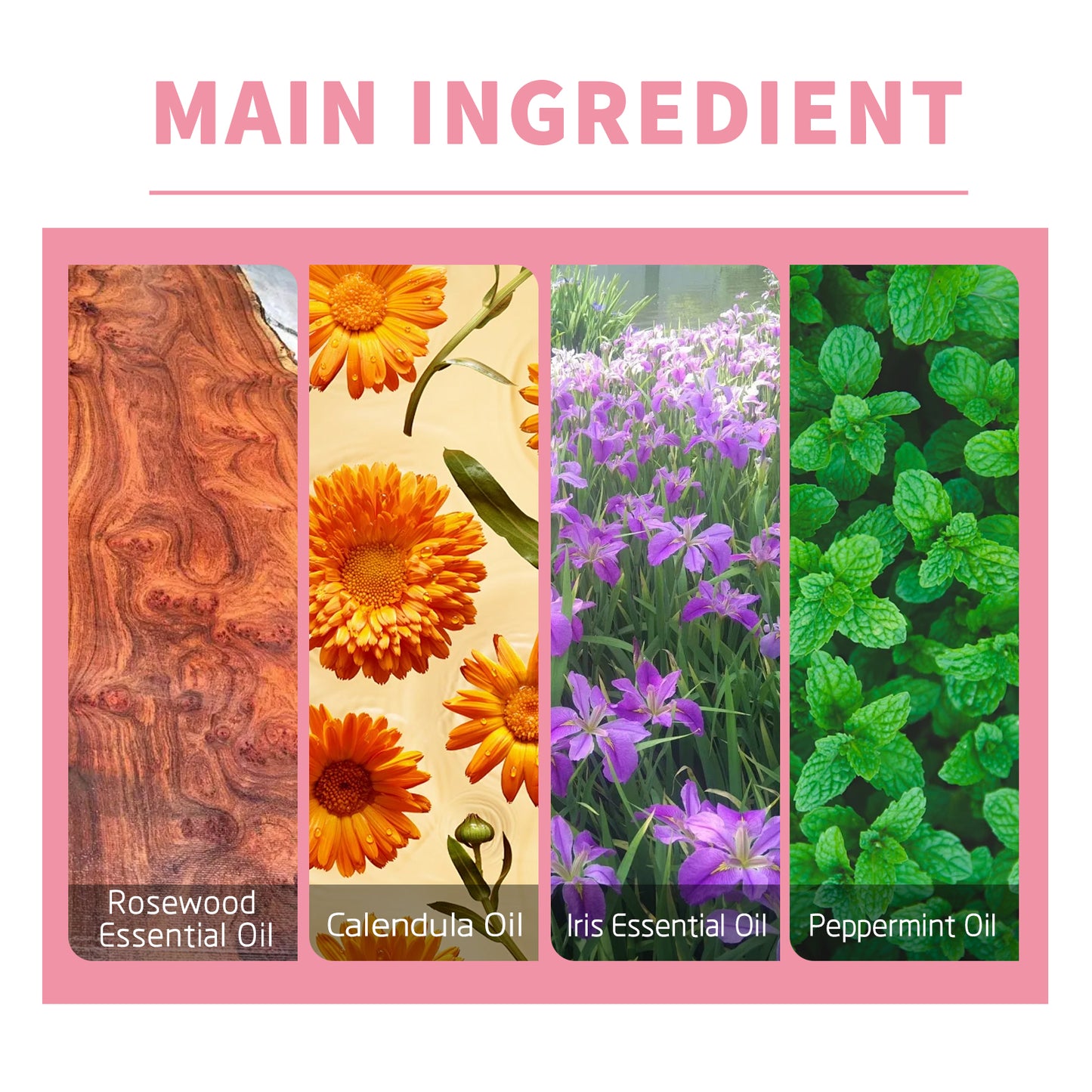 For Her Perfume, Natural And Fresh Fragrance Lasting Fragrance For Lovers Dating Niche Atmosphere Perfume